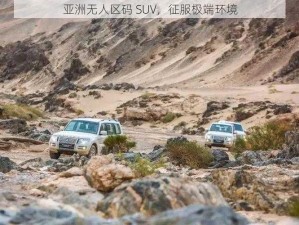 亚洲无人区码 SUV，征服极端环境