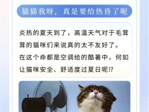 时光公主猫咪温馨照料与升星攻略：全方位指南教你如何精心呵护猫咪成长