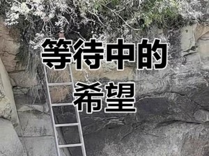 和岳姆干的翻天覆地;和岳姆干的翻天覆地，一场怎样的冒险等待着他？