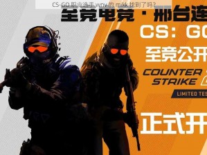 CS-GO 职业选手 wnv 的 mikk 找到了吗？