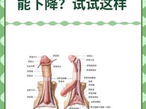 男性手婬视频免费看—男性手淫视频免费看？小心这些风险