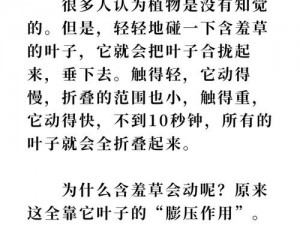 为什么含羞草一碰就会低头？原来它是在放电植物也有社交，它的秘密你知道吗？