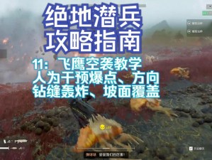 《绝地潜兵2》飞鹰战机实战运用技巧深度解析与攻略指南：掌握高效战斗策略，成为空战王者