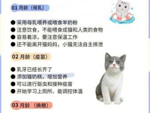 猫咪别追我：详细安装指南与配置说明手册