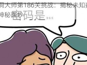 脑洞大师第186关挑战：揭秘未知数a的神秘面纱