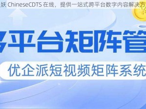 人妖 ChineseCDTS 在线，提供一站式跨平台数字内容解决方案