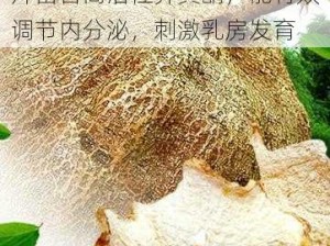 吃什么补乳房能变大？野葛根片富含高活性异黄酮，能有效调节内分泌，刺激乳房发育