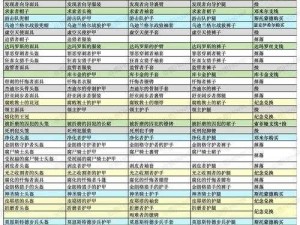 《堕落之主：闪耀保护戒指获取攻略详解》