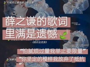 浅言回响：探索你留下的那一句深情歌词之歌