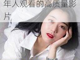 国产午夜精品理论片：内涵丰富，适合成年人观看的高质量影片