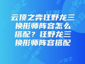 云顶之弈狂野换形龙法阵容攻略：如何以绝对优势单方面吊打刺客流？详解换形龙法搭配制胜秘诀