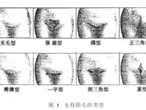 女性三角毛毛区腹部里面疼痛,女性三角毛毛区腹部里面疼痛是怎么回事？