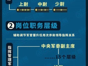 全球行动军衔制度概览：等级划分与职责权限解析