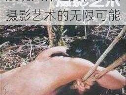 西西人体艺术摄影：展现人体之美，探索摄影艺术的无限可能