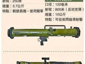 手冠军武器系统详解：冠军武器的参数与功能介绍及武器种类概览