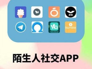 成品人软件 APP 下载官网，一款功能强大的社交软件