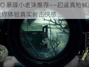 CSGO 暴躁小老妹推荐——超逼真枪械皮肤，让你体验真实射击快感