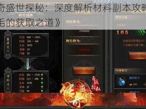 《传奇盛世探秘：深度解析材料副本攻略，揭秘羽毛的获取之道》