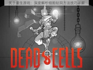 关于重生游戏：深度解析细胞钻洞方法技巧详解