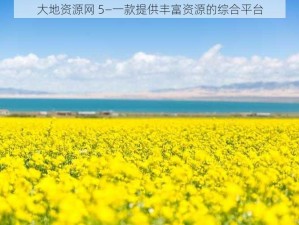 大地资源网 5—一款提供丰富资源的综合平台