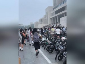 女 f丨ee 性 zozc 交体内谢营养片，焕发自然之美