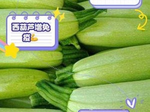 忘忧草 4399 韩国在，优质绿色健康的功能性食品