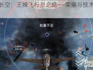 浴血长空：王牌飞行员之路——荣耀与技术的磨砺