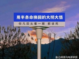 被 C 了一天，我竟离不开它了