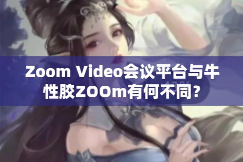 ZOOM 和 OKZOOM 有何不同？哪个更适合你？