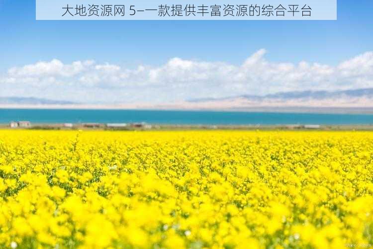 大地资源网 5—一款提供丰富资源的综合平台