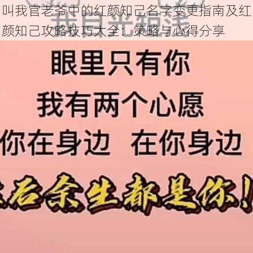 叫我官老爷中的红颜知己名字变更指南及红颜知己攻略技巧大全：策略与心得分享