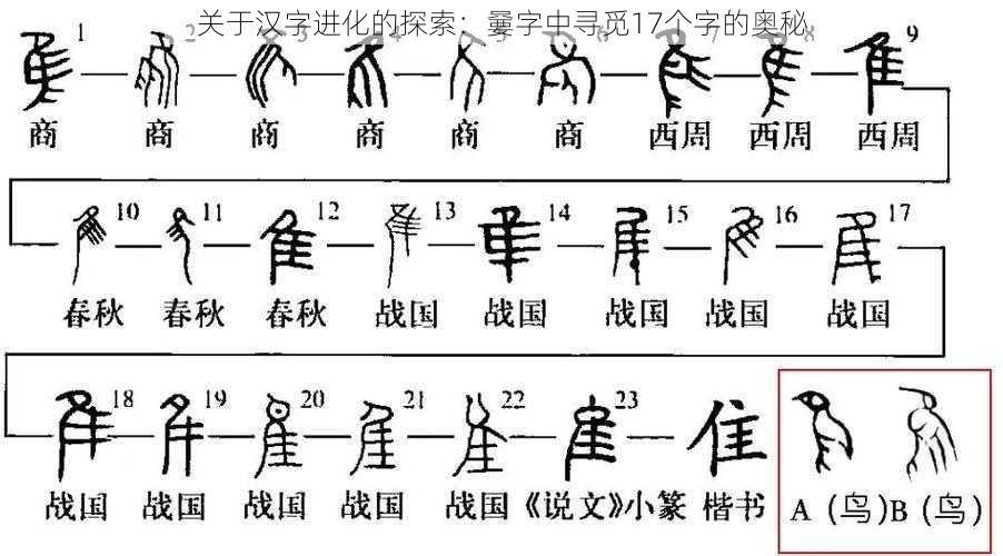 关于汉字进化的探索：嘦字中寻觅17个字的奥秘