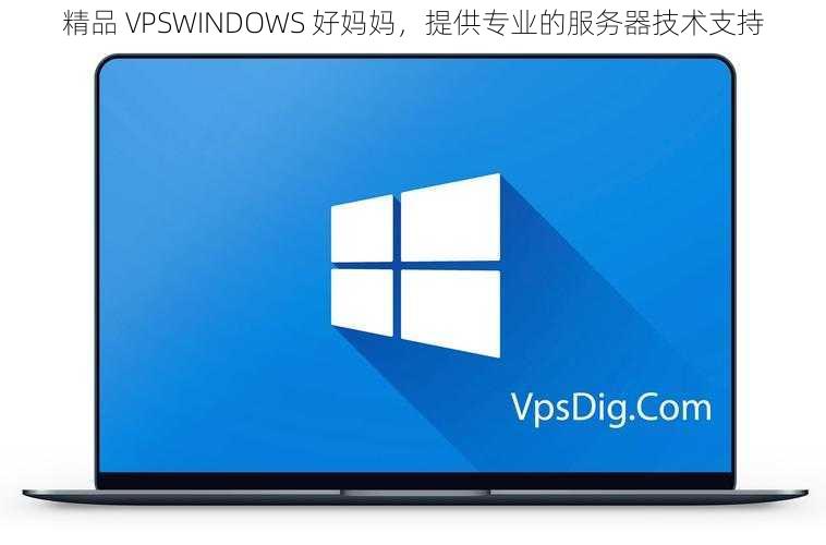 精品 VPSWINDOWS 好妈妈，提供专业的服务器技术支持