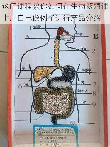 这门课程教你如何在生物繁殖课上用自己做例子进行产品介绍