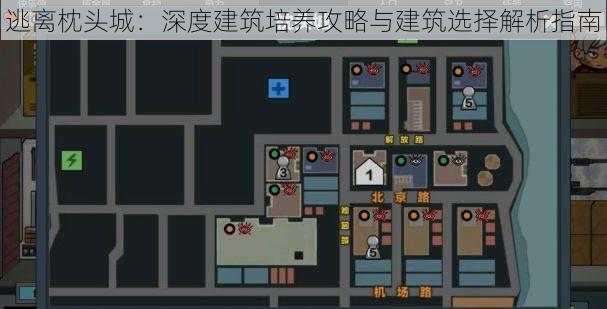 逃离枕头城：深度建筑培养攻略与建筑选择解析指南