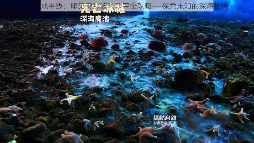 深渊地平线：印第安那波利斯完全攻略——探索未知的深海秘境