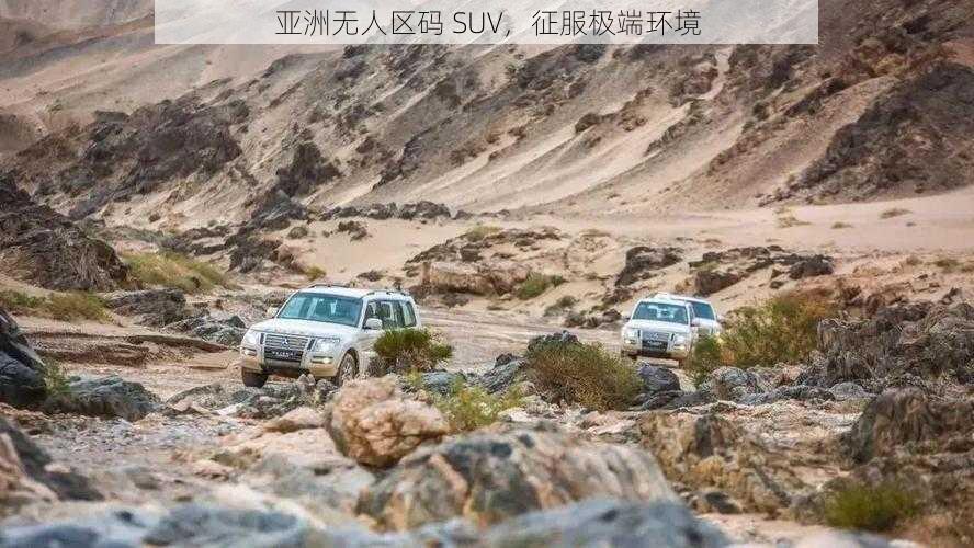 亚洲无人区码 SUV，征服极端环境