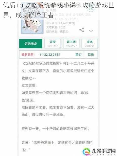 优质 rb 攻略系统游戏小说：攻略游戏世界，成就巅峰王者