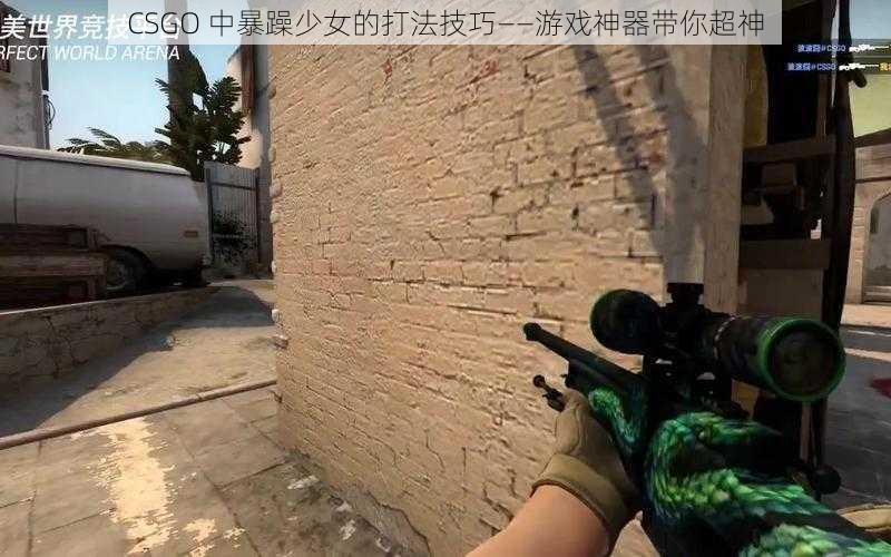 CSGO 中暴躁少女的打法技巧——游戏神器带你超神