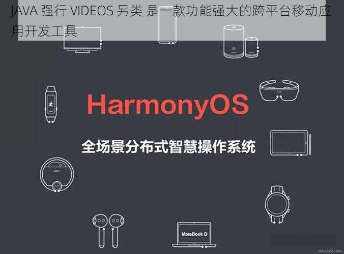 JAVA 强行 VIDEOS 另类 是一款功能强大的跨平台移动应用开发工具