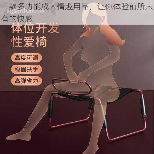 一款多功能成人情趣用品，让你体验前所未有的快感