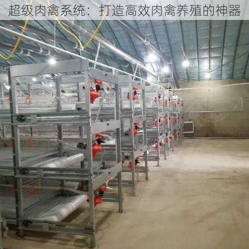 超级肉禽系统：打造高效肉禽养殖的神器