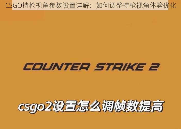 CSGO持枪视角参数设置详解：如何调整持枪视角体验优化