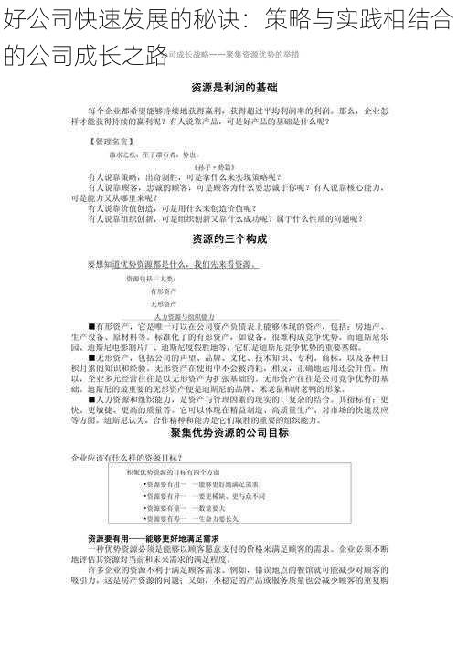 好公司快速发展的秘诀：策略与实践相结合的公司成长之路