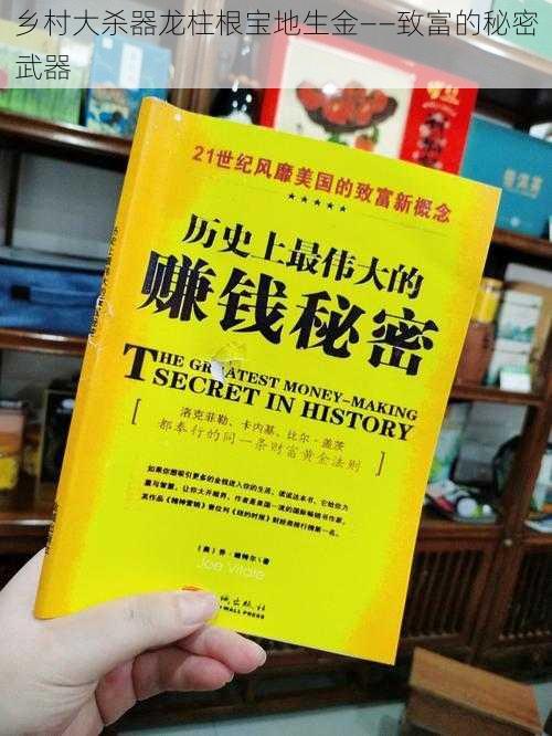 乡村大杀器龙柱根宝地生金——致富的秘密武器