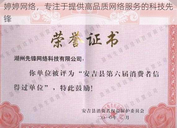 婷婷网络，专注于提供高品质网络服务的科技先锋