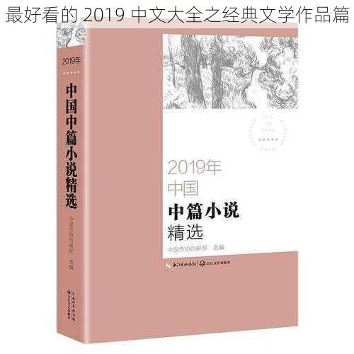 最好看的 2019 中文大全之经典文学作品篇