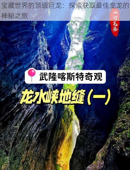 宝藏世界的顶级巨龙：探索获取最佳宠龙的神秘之旅