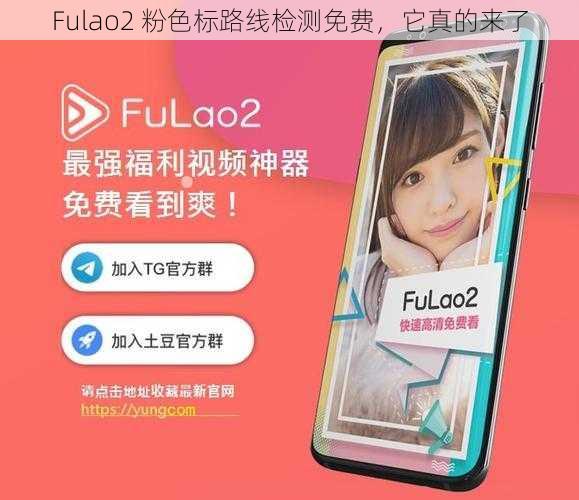 Fulao2 粉色标路线检测免费，它真的来了