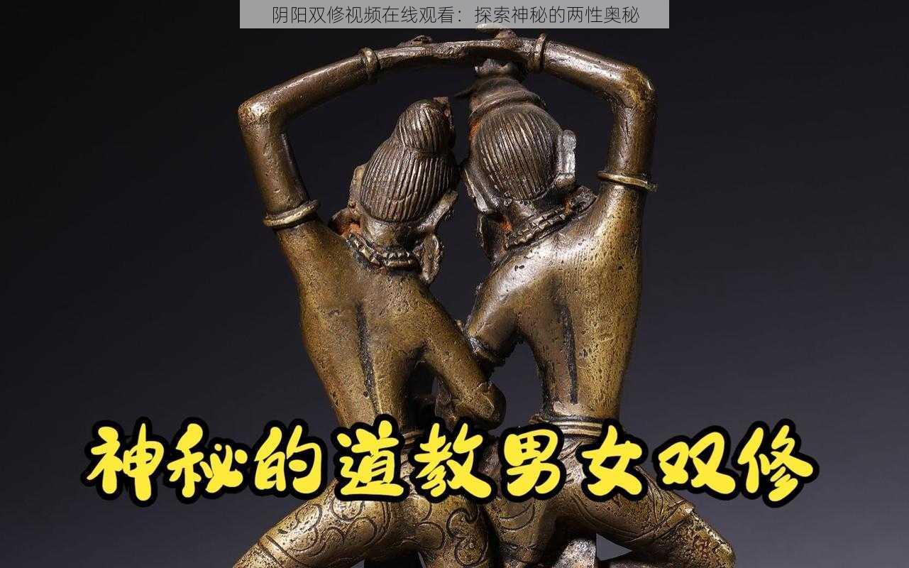 阴阳双修视频在线观看：探索神秘的两性奥秘